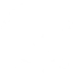 Verity Metals